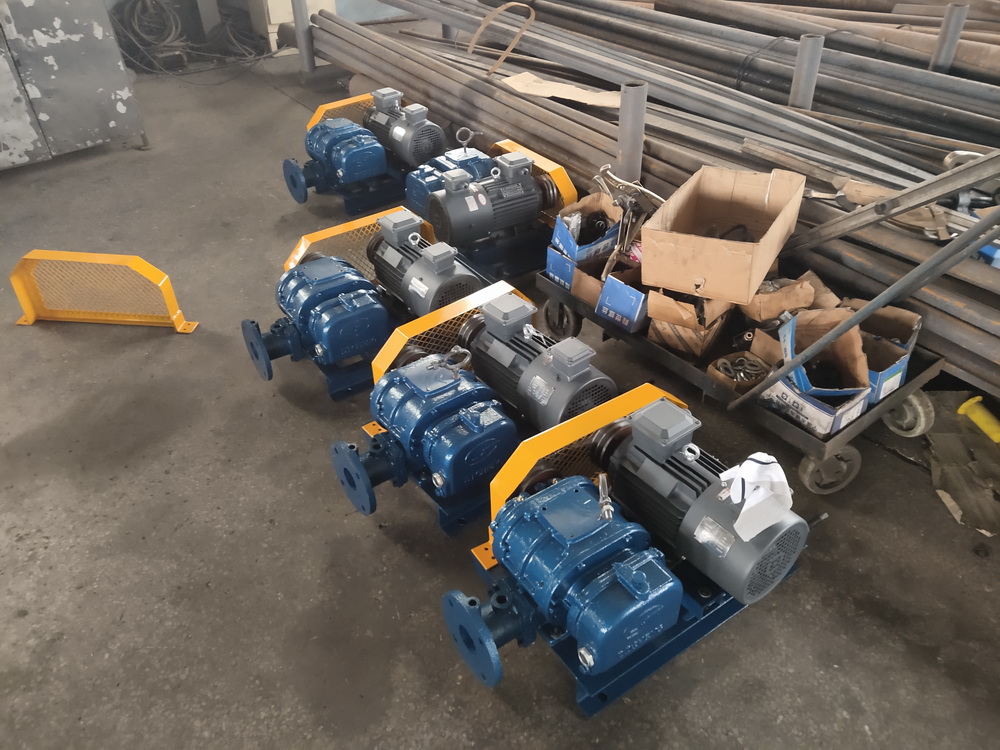 12 sets of DSR65 roots blowers delivery to Europe