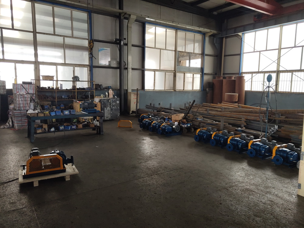 12 sets of DSR65 roots blowers delivery to Europe